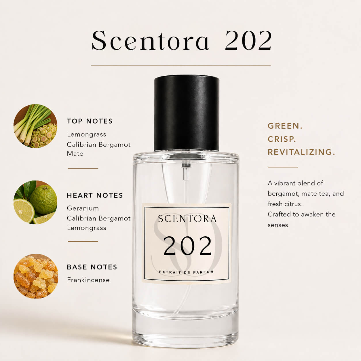 SCENTORA 202