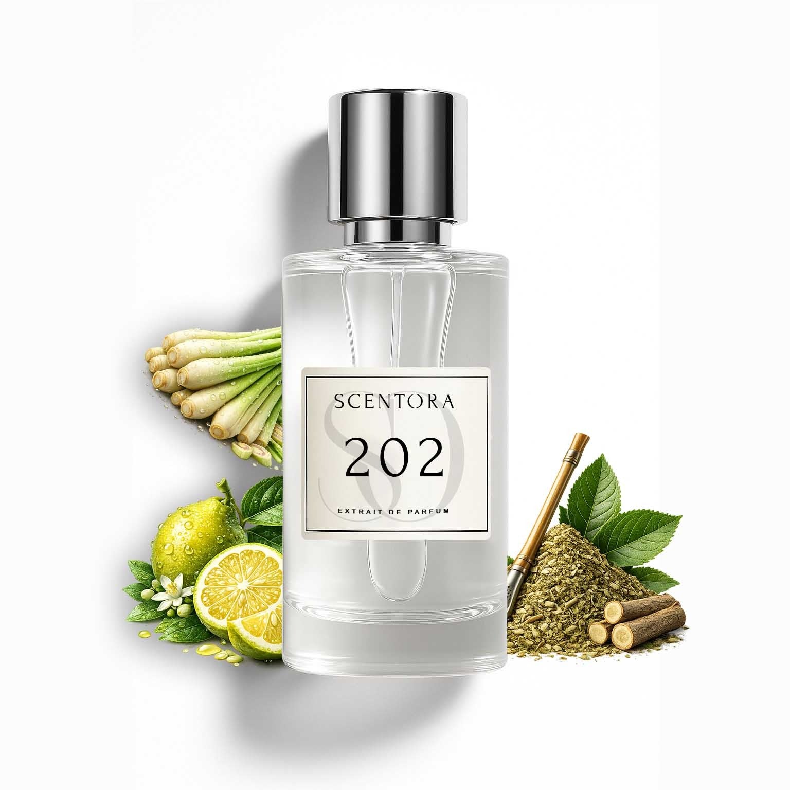 202 – Inspired by Cactus Garden