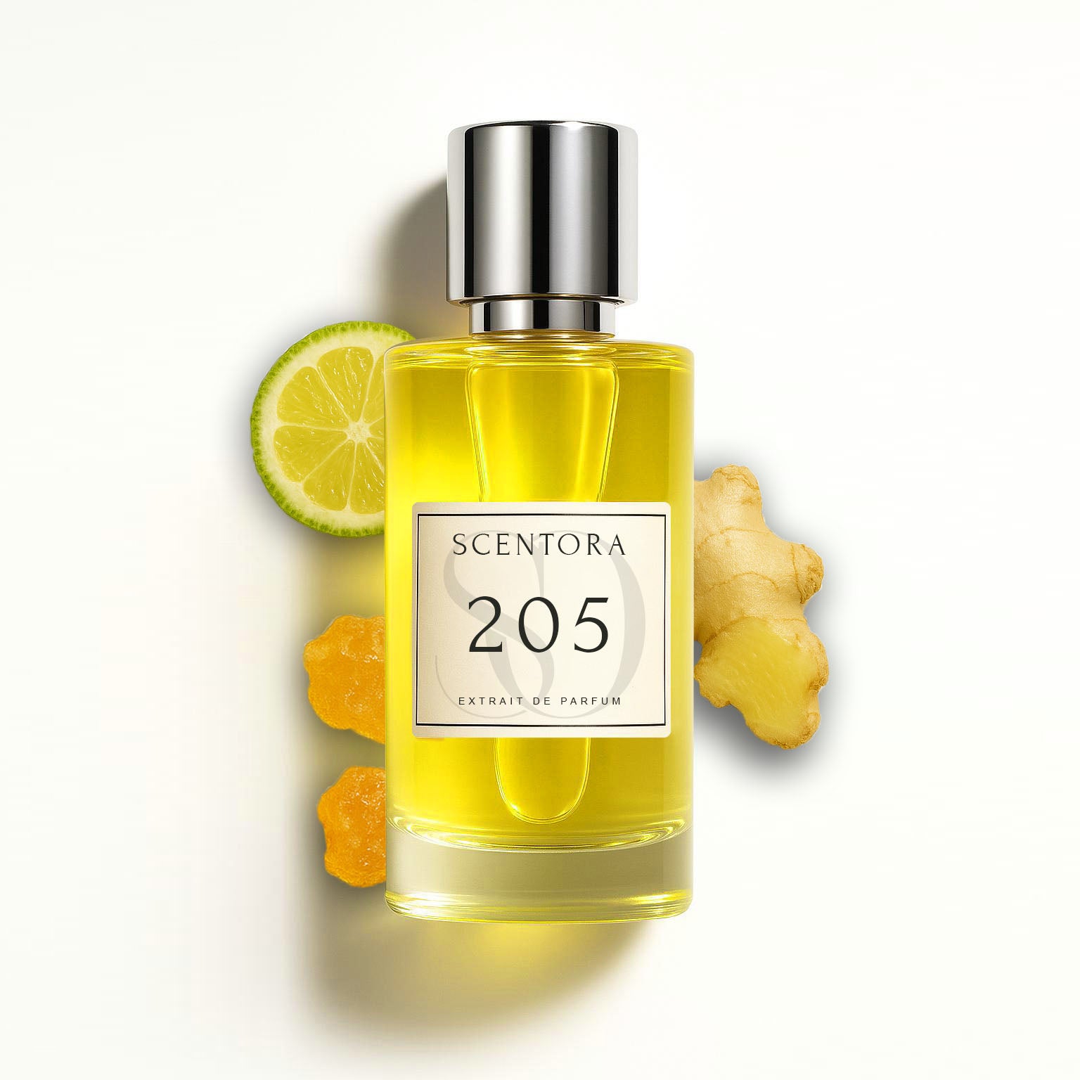 205 - inspired by afternoon swim