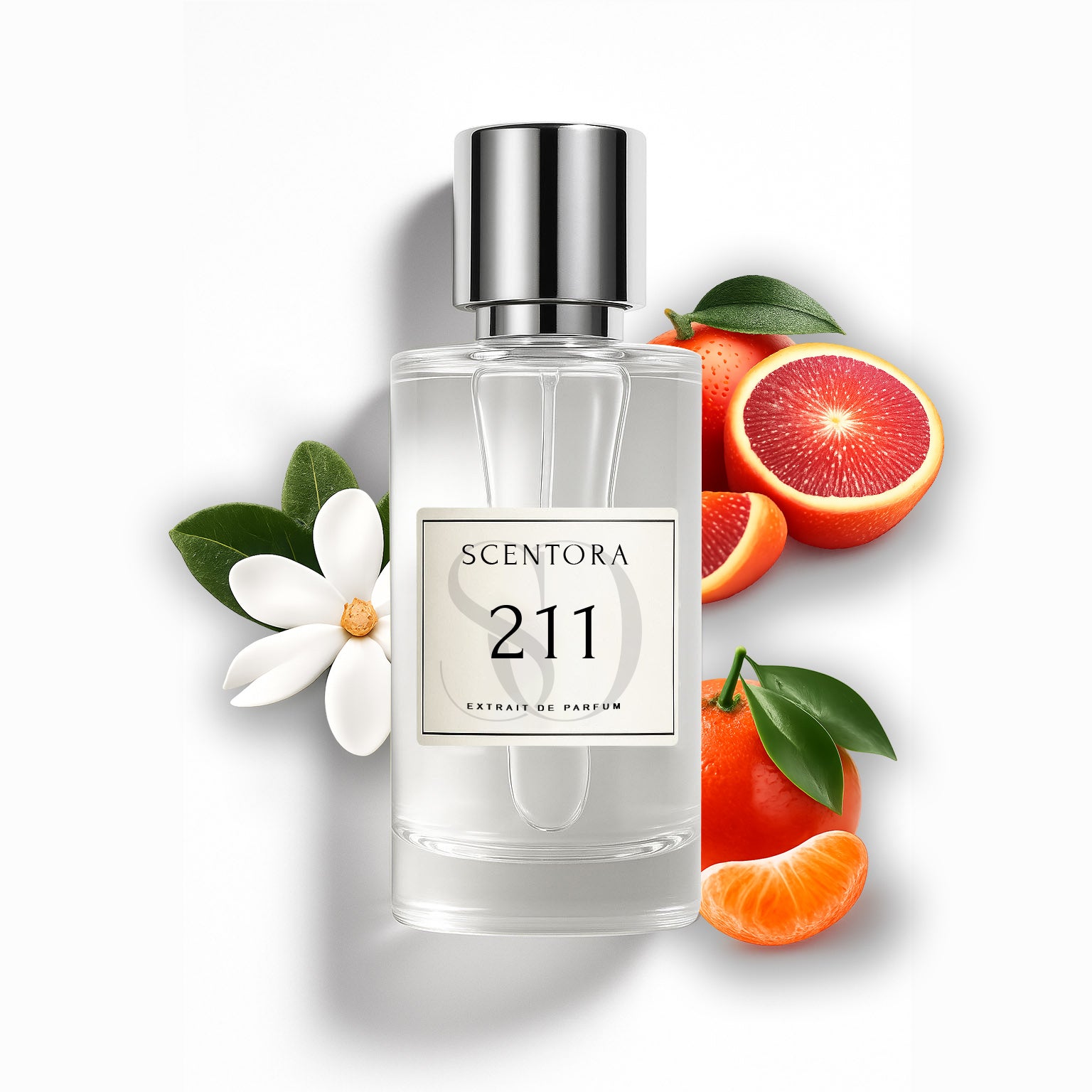 211 – Inspired by LV City of Stars