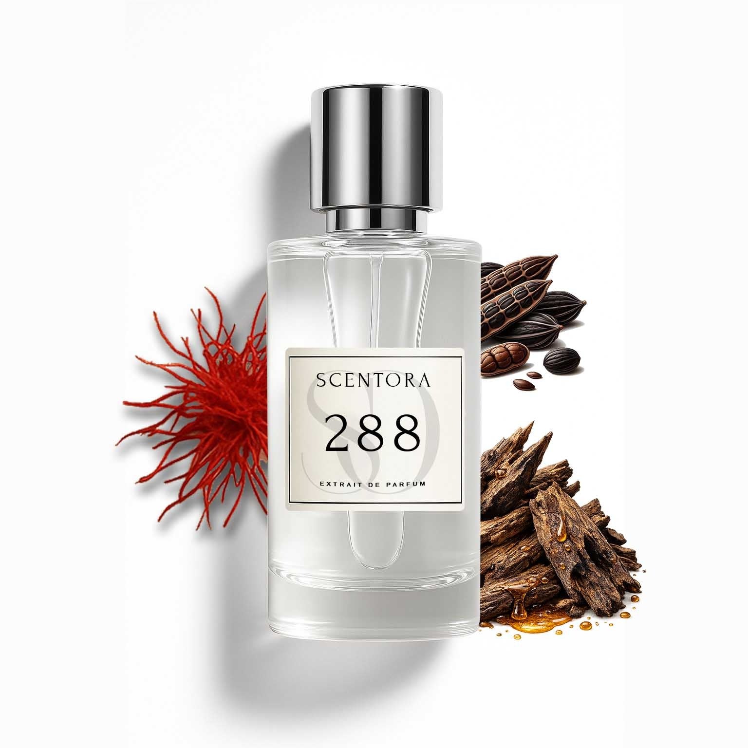 288 – Inspired by Arabians Tonka