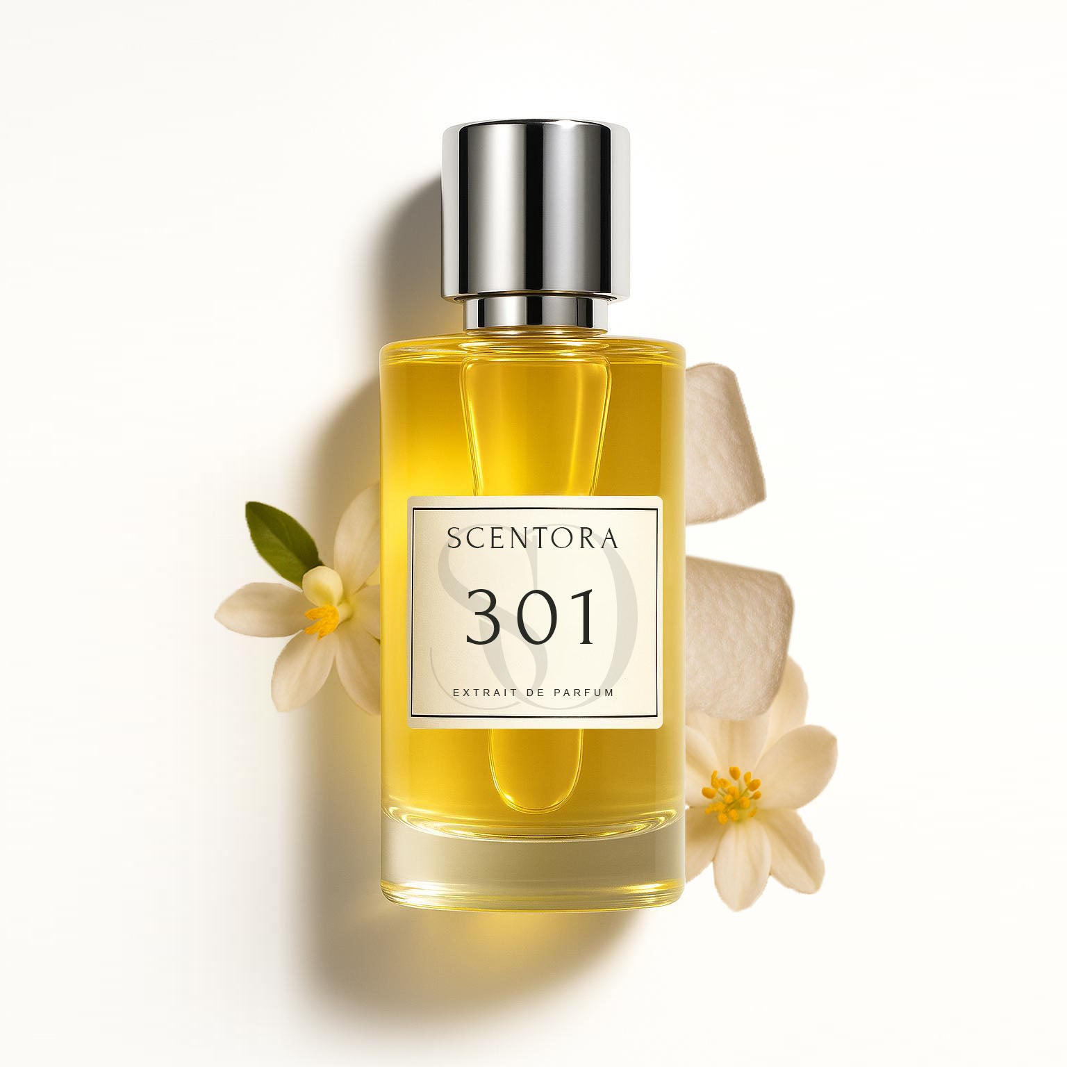 301 - inspired by don't be shy