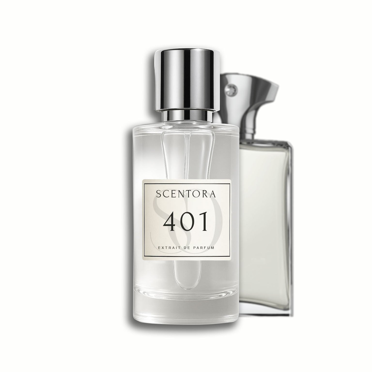 401 - inspired by reflection man