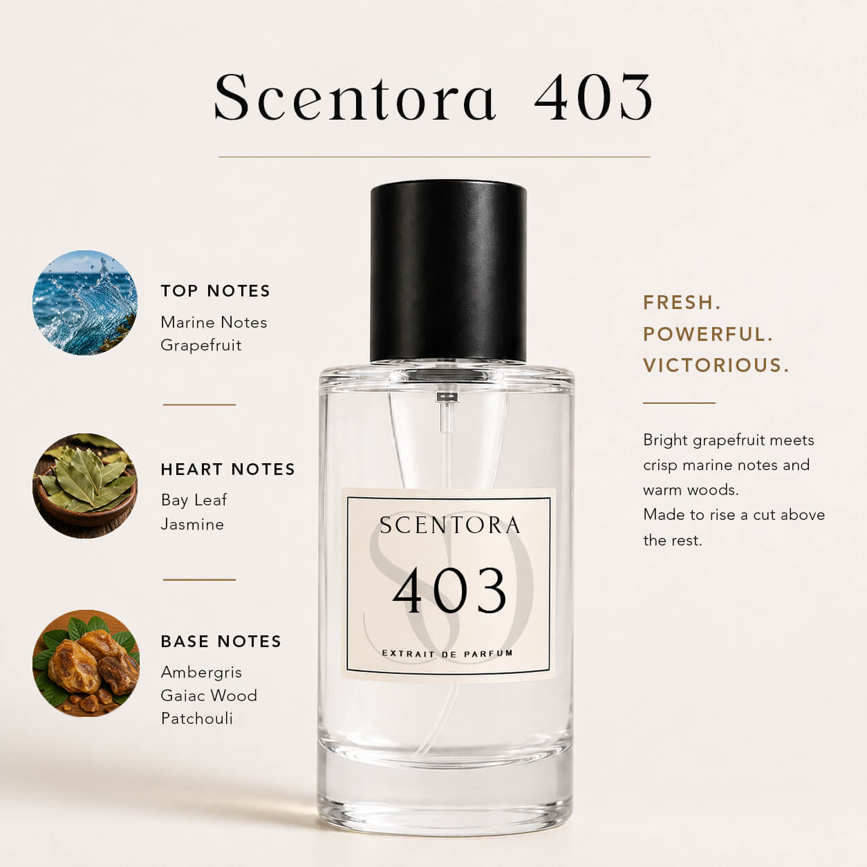 SCENTORA 403