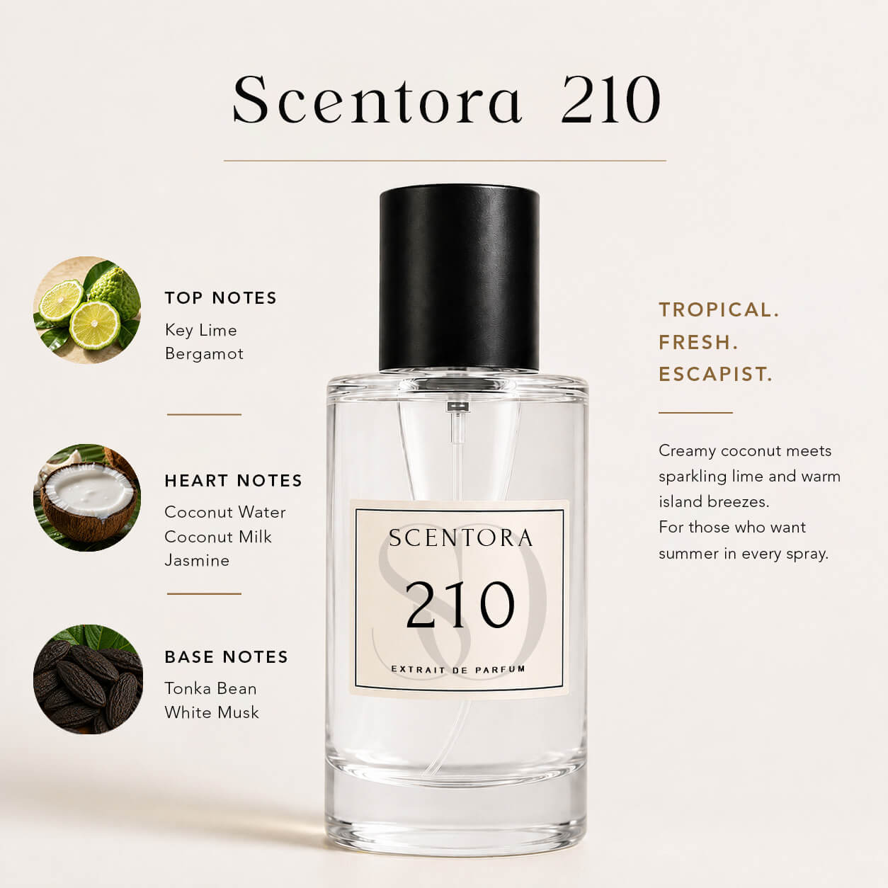 SCENTORA 210