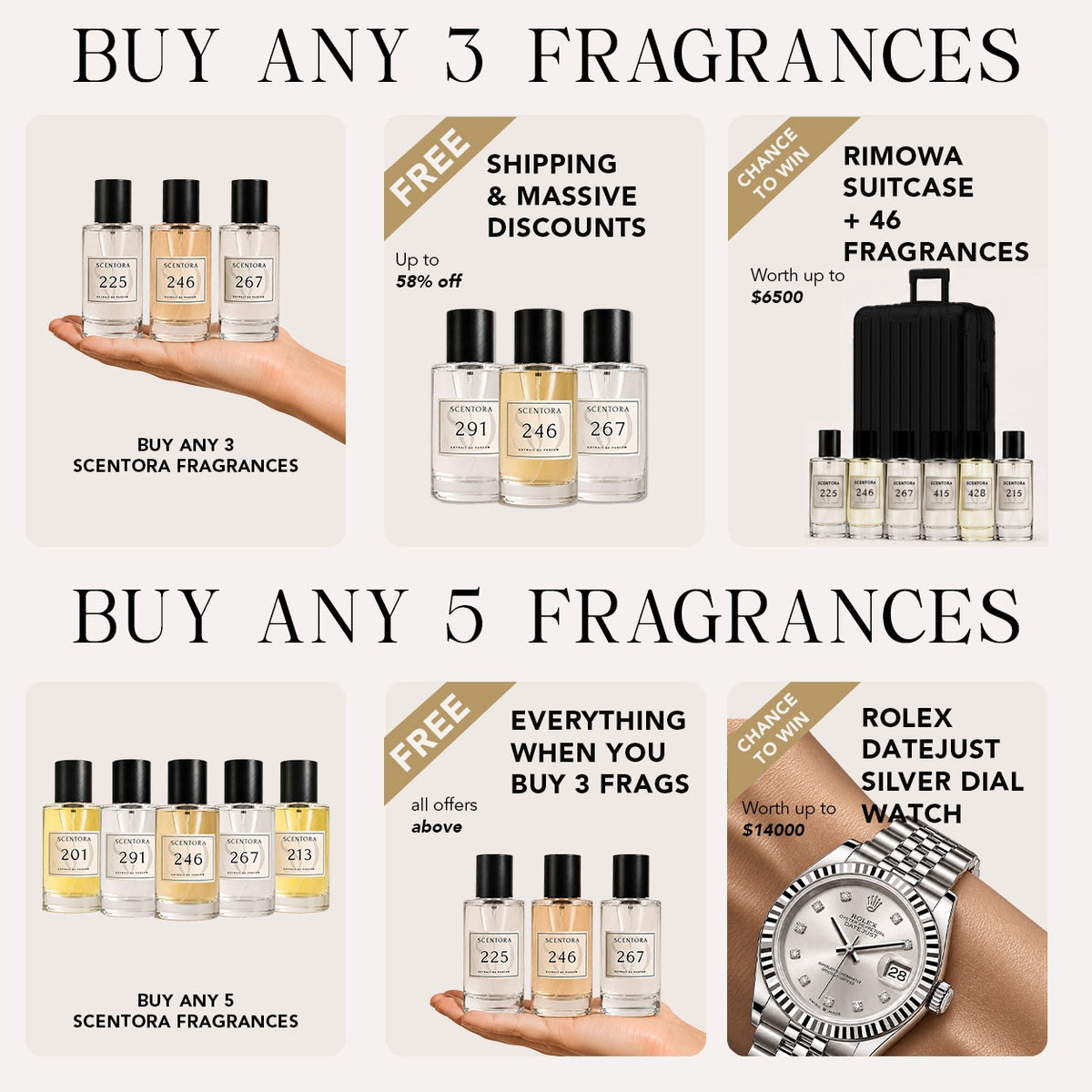 Save Up to 53%, just for today!