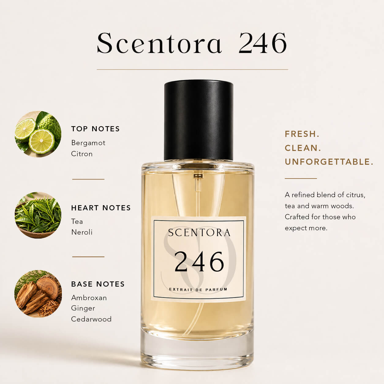 SCENTORA 246