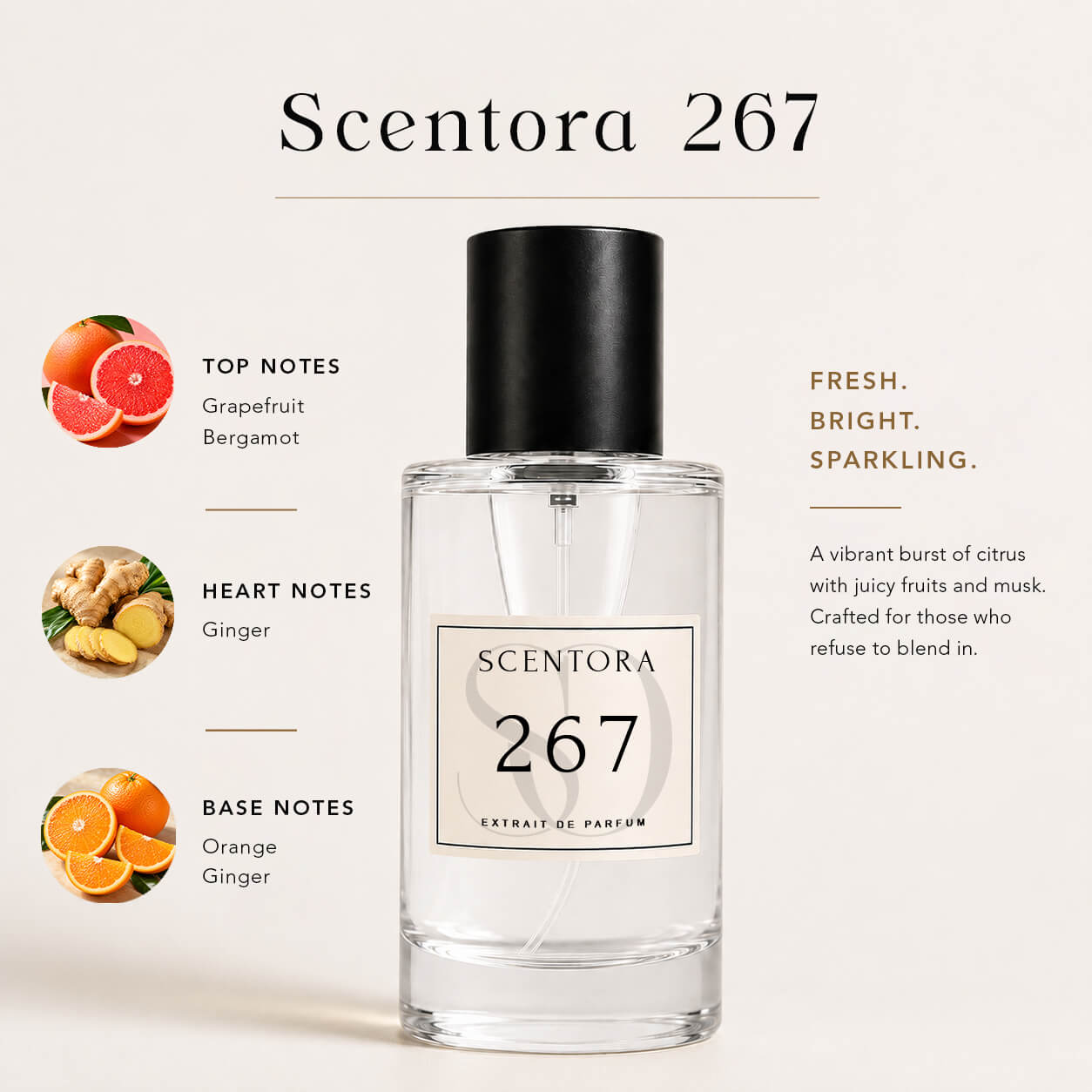 SCENTORA 267