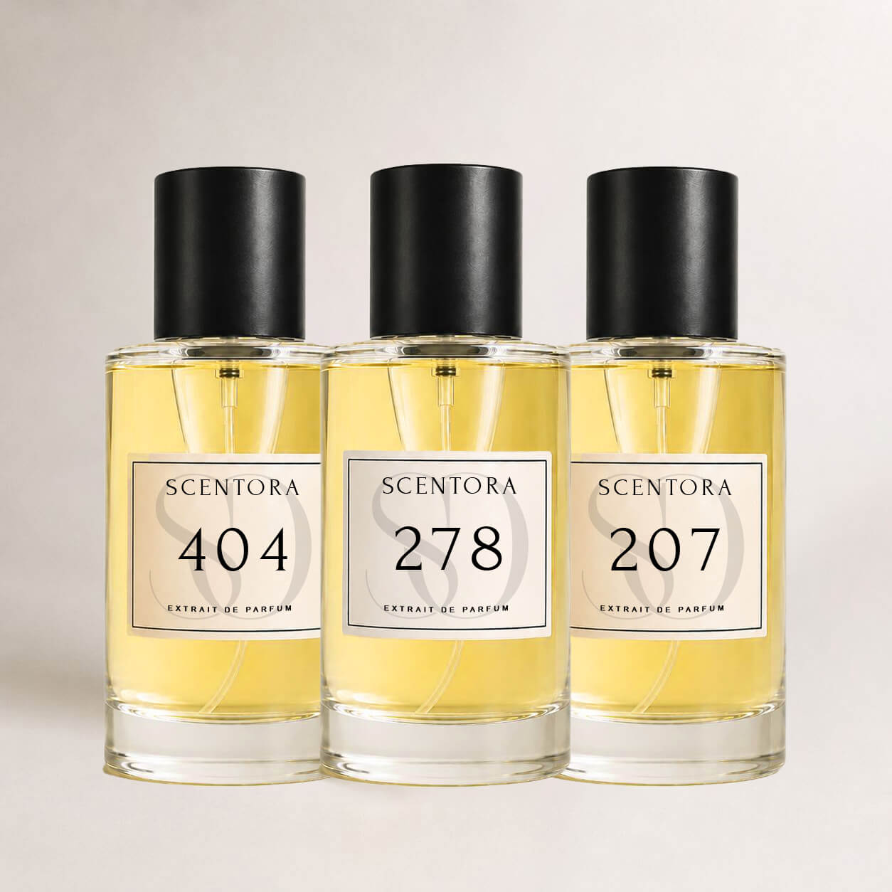 Business Bundle - inspired by Percival, Elysium & Oud for Greatness Neo