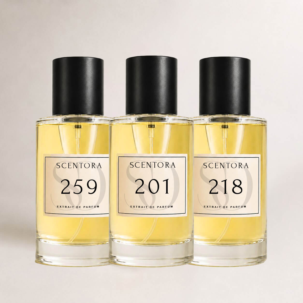 Winter Bundle - inspired by Tobacco Vanille, Oud Wood & Angel's Share