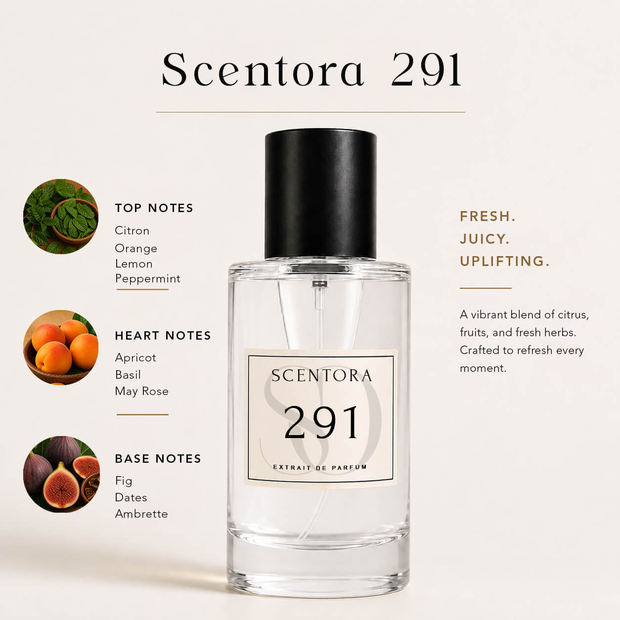 SCENTORA 291