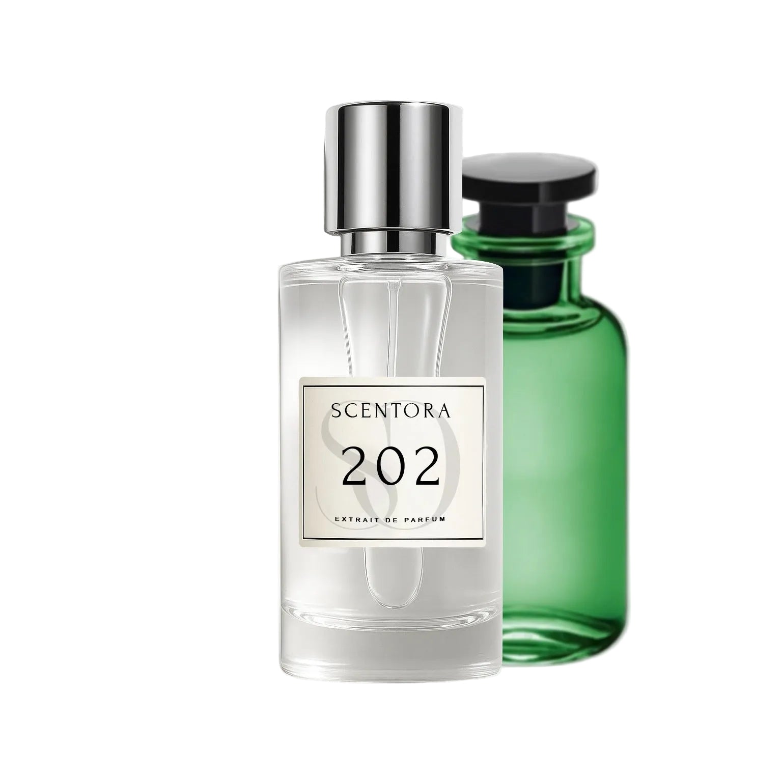 202 – Inspired by Cactus Garden