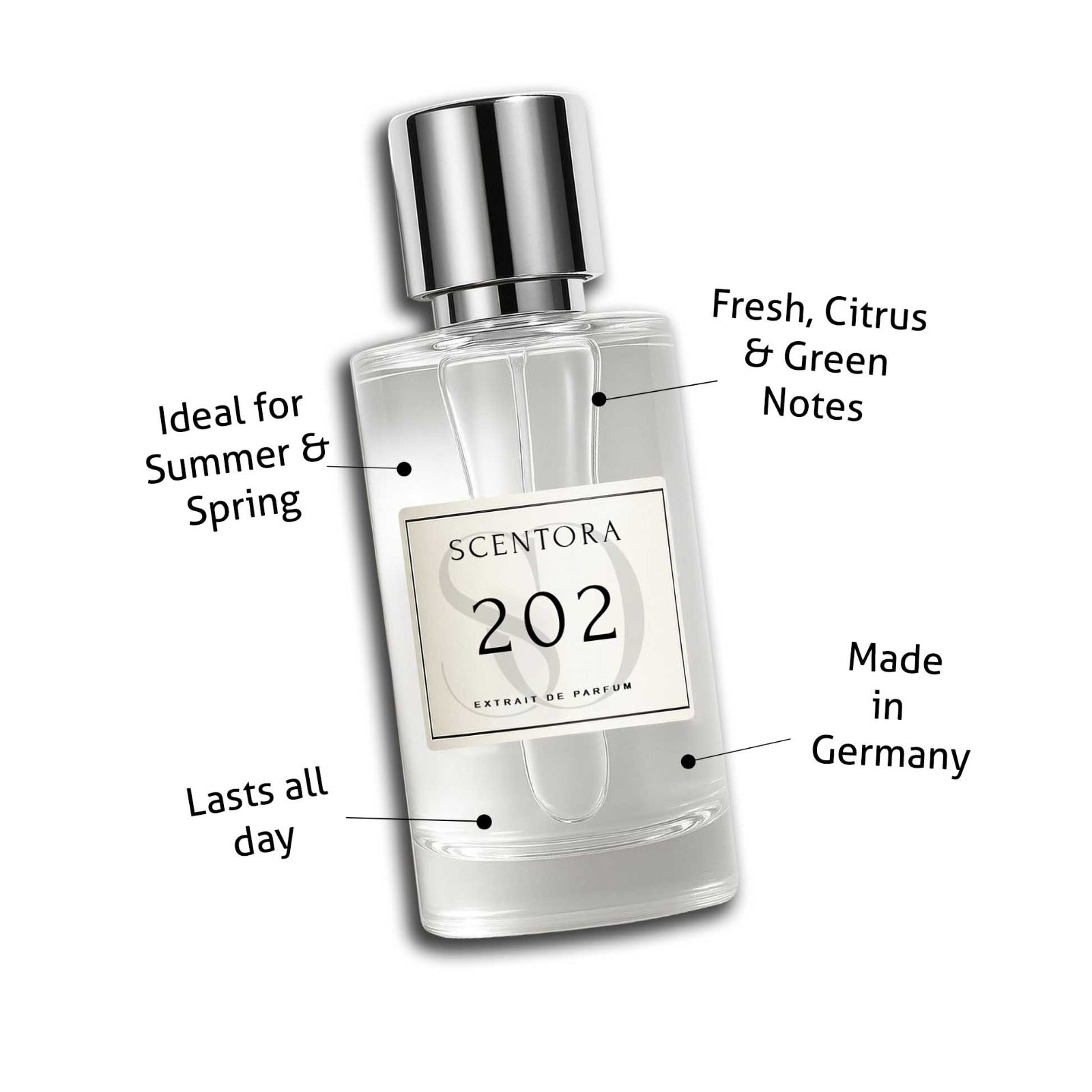 202 – Inspired by Cactus Garden