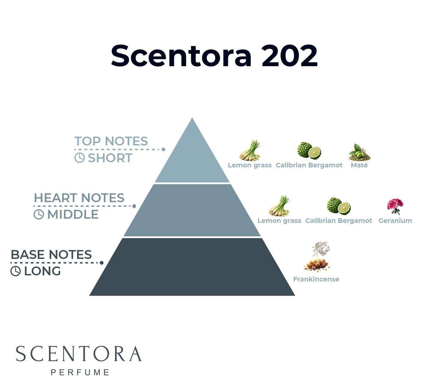 202 – Inspired by Cactus Garden