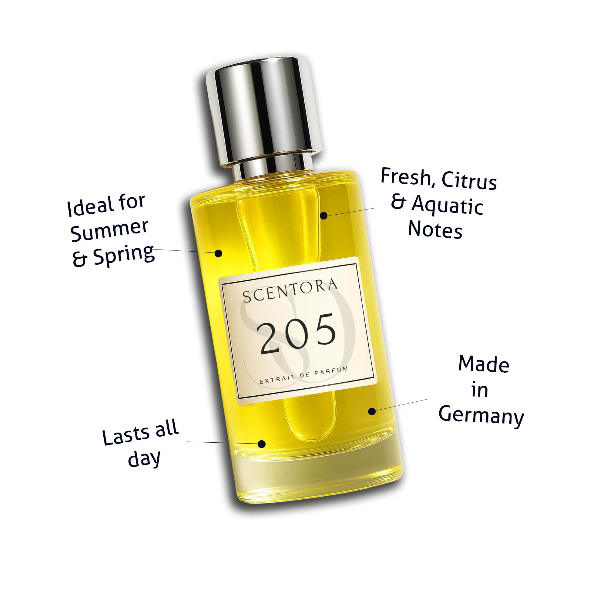 205 - inspired by afternoon swim