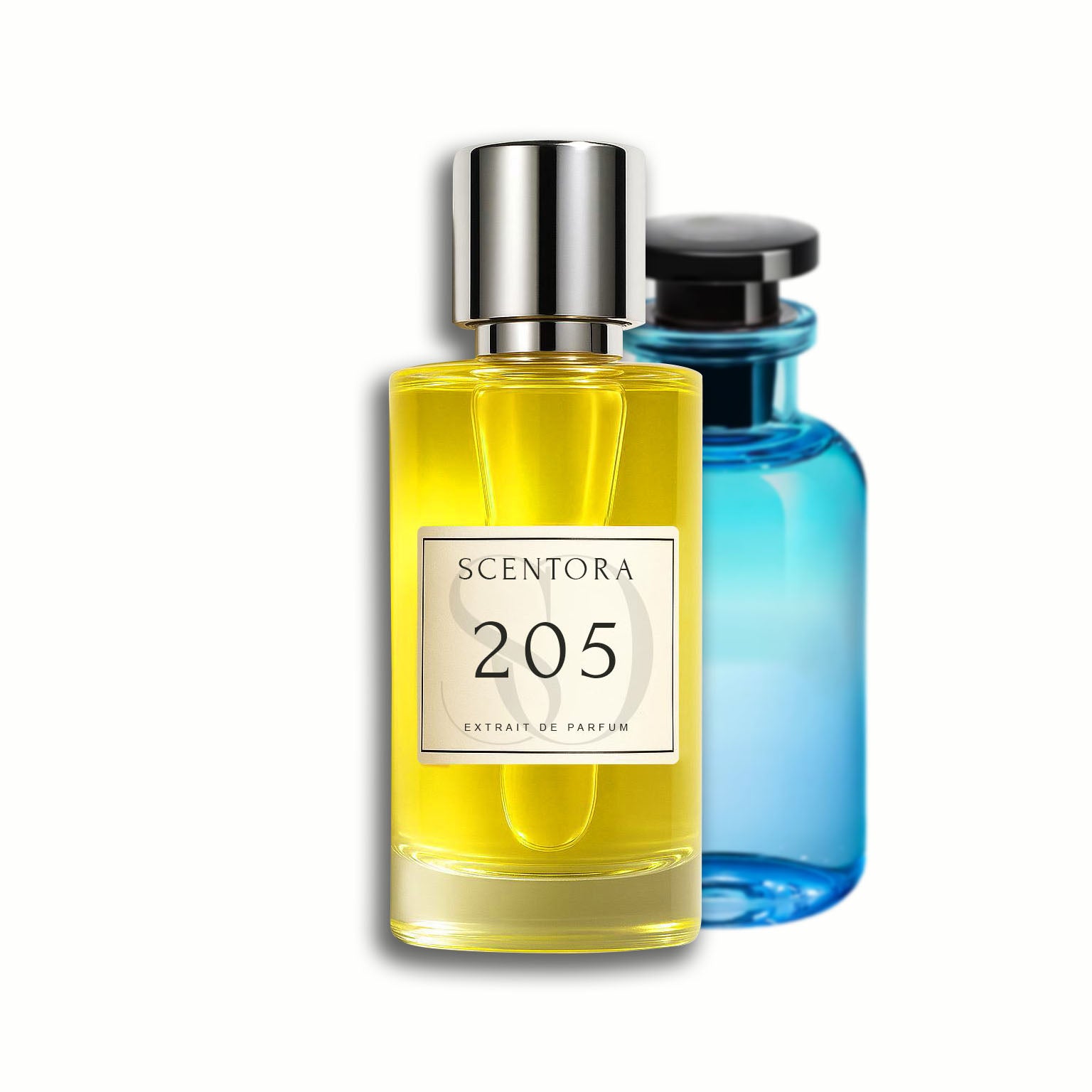 205 - inspired by afternoon swim
