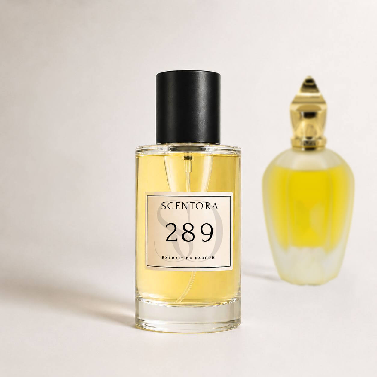 Save Up to 58% Today With 3 FREE Fragrances