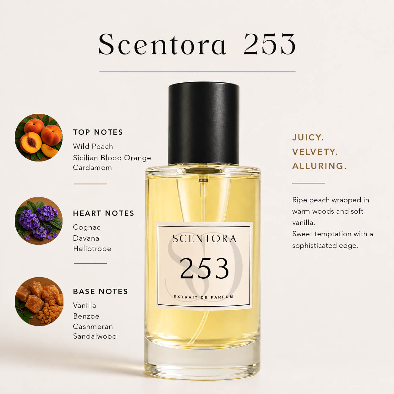 SCENTORA 253