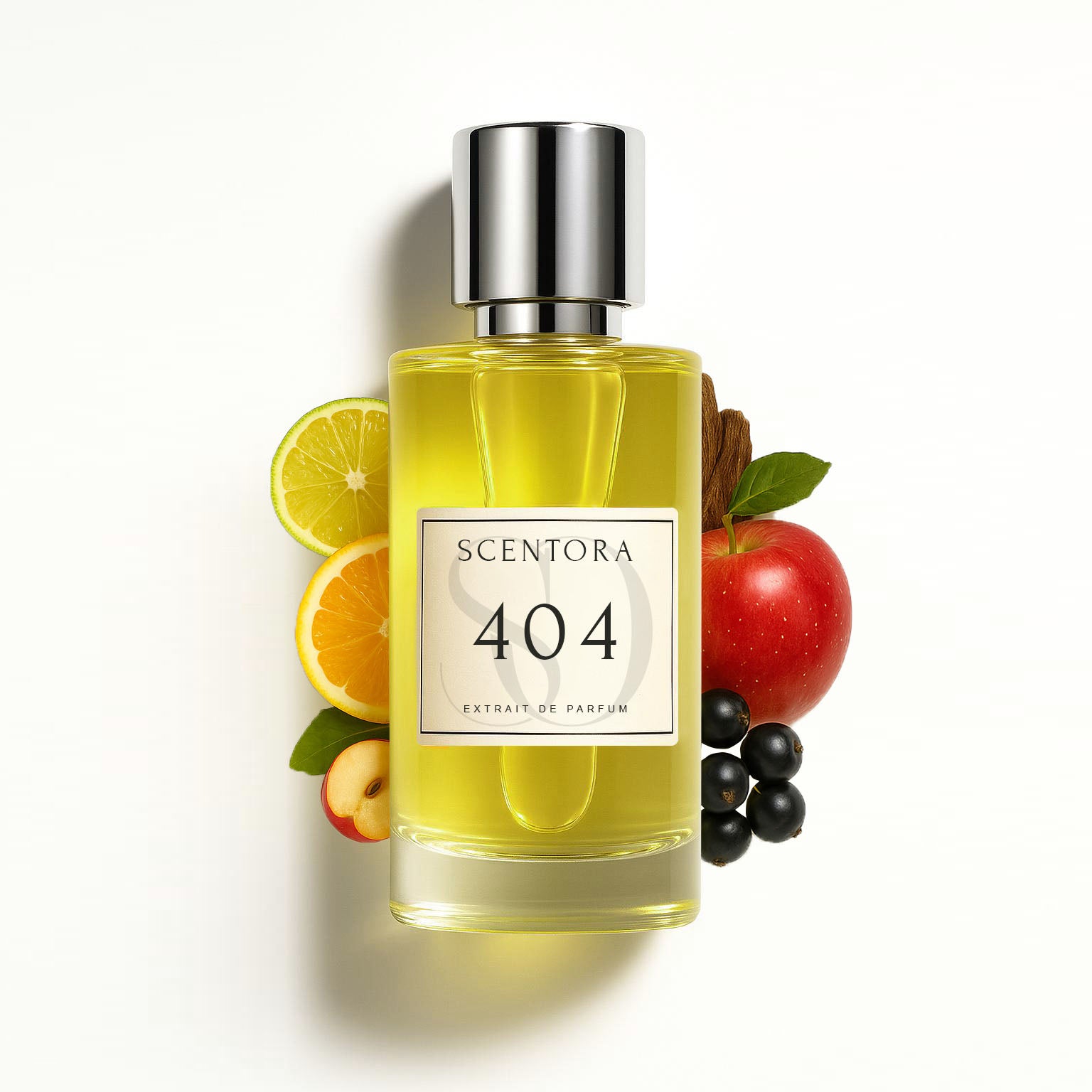 404 - inspired by elysium