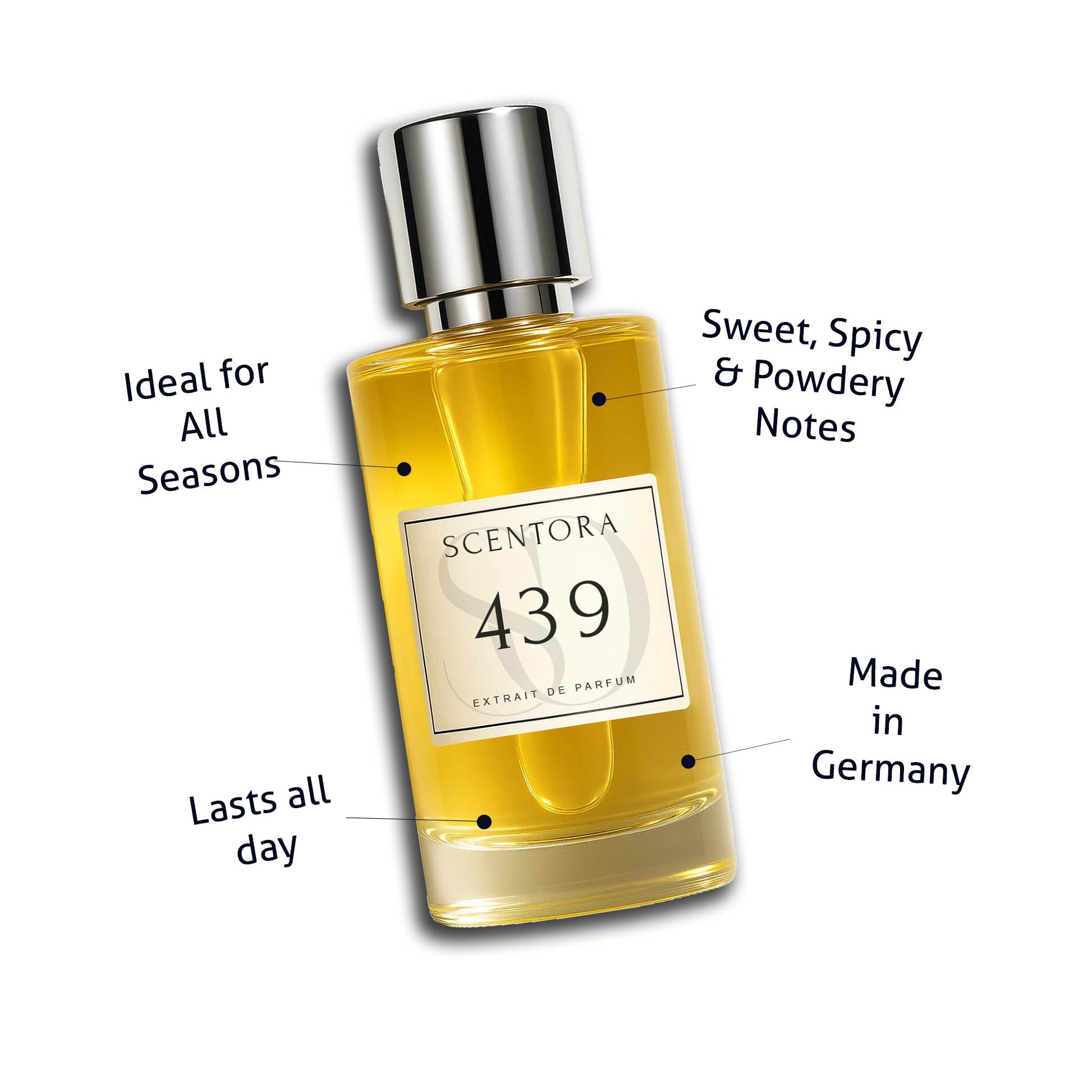 439 - inspired by  No.1 masculine