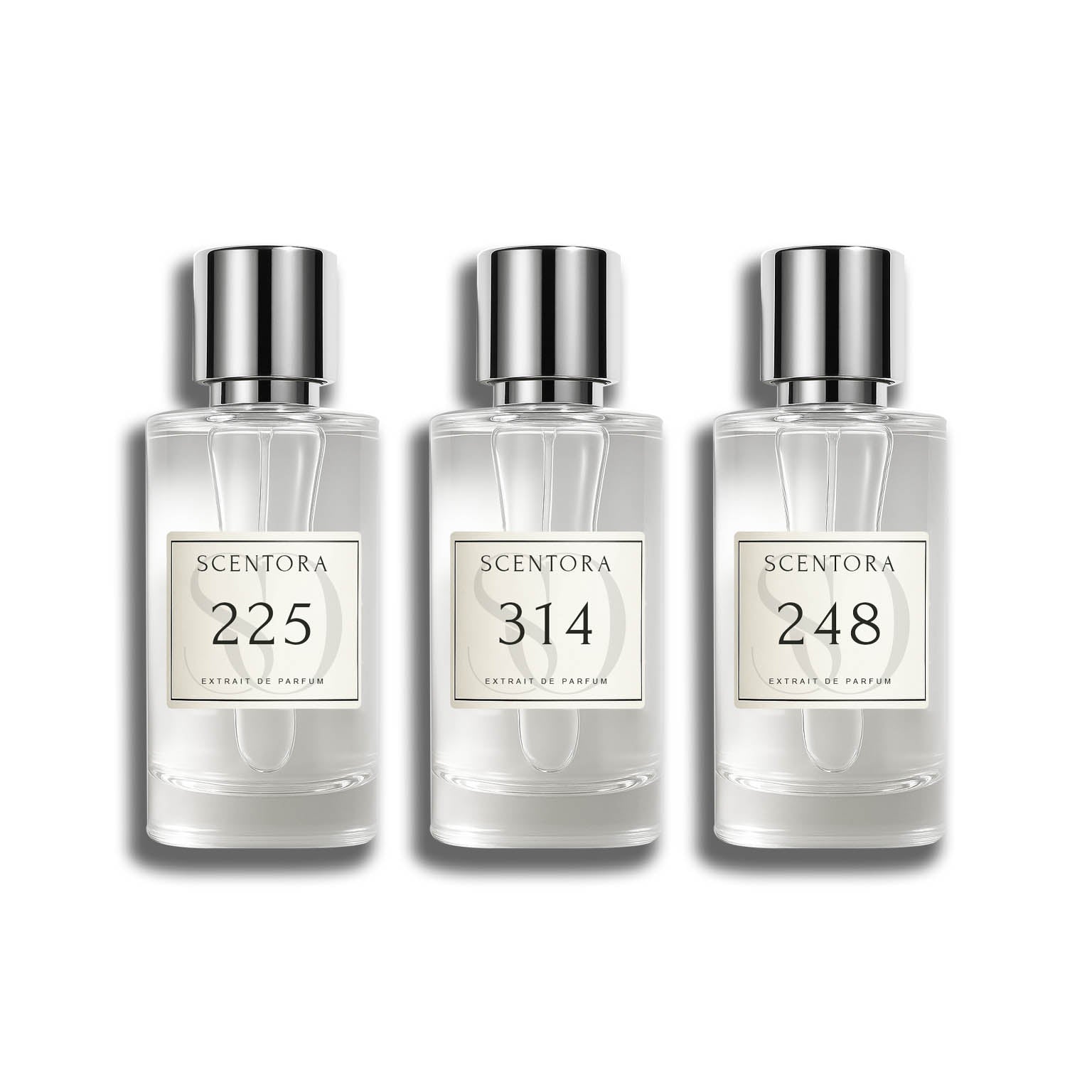 Boss Lady Bundle - inspired by Baccarat Rouge, Lost Cherry & Delina