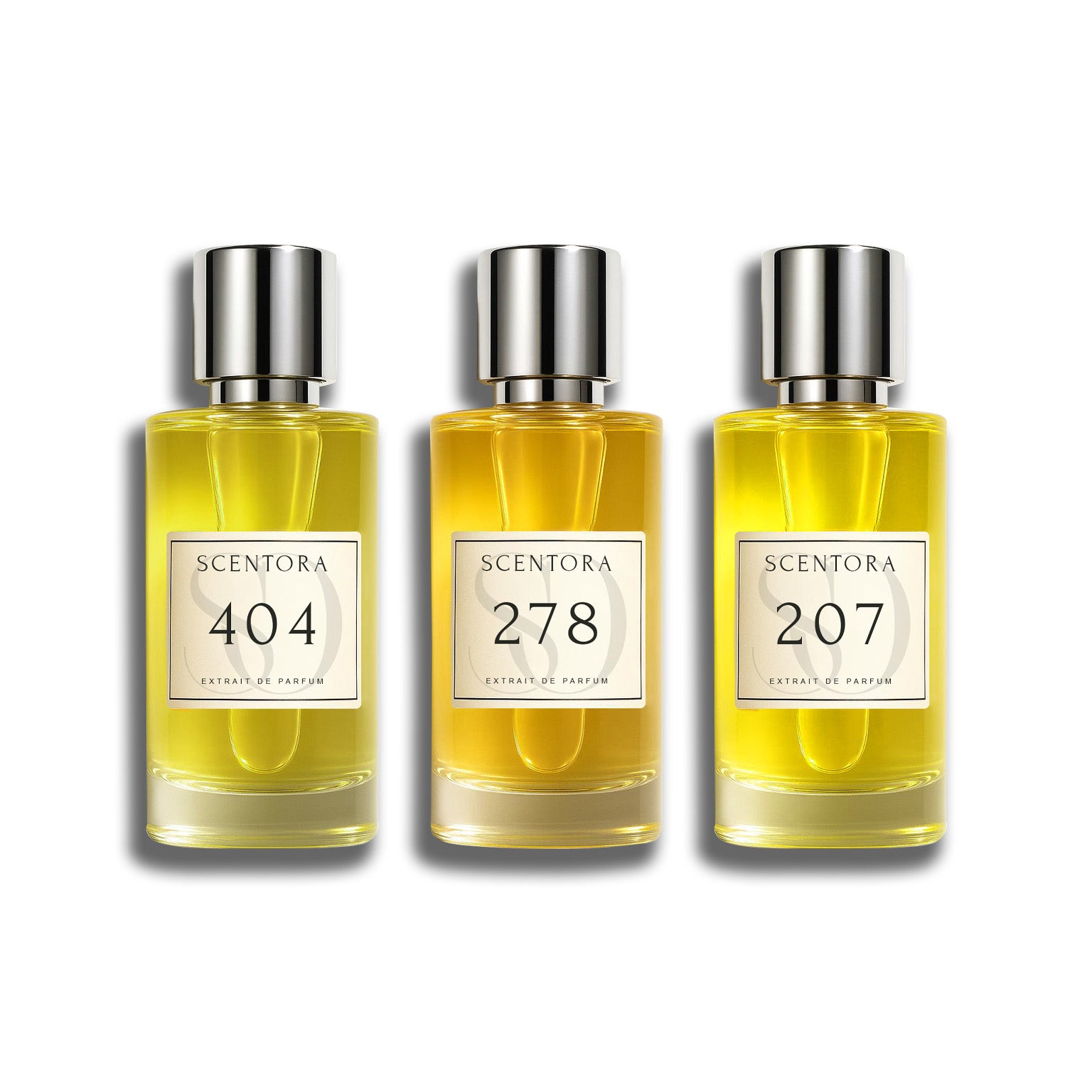 Business Bundle - inspired by Percival, Elysium & Oud for Greatness Neo