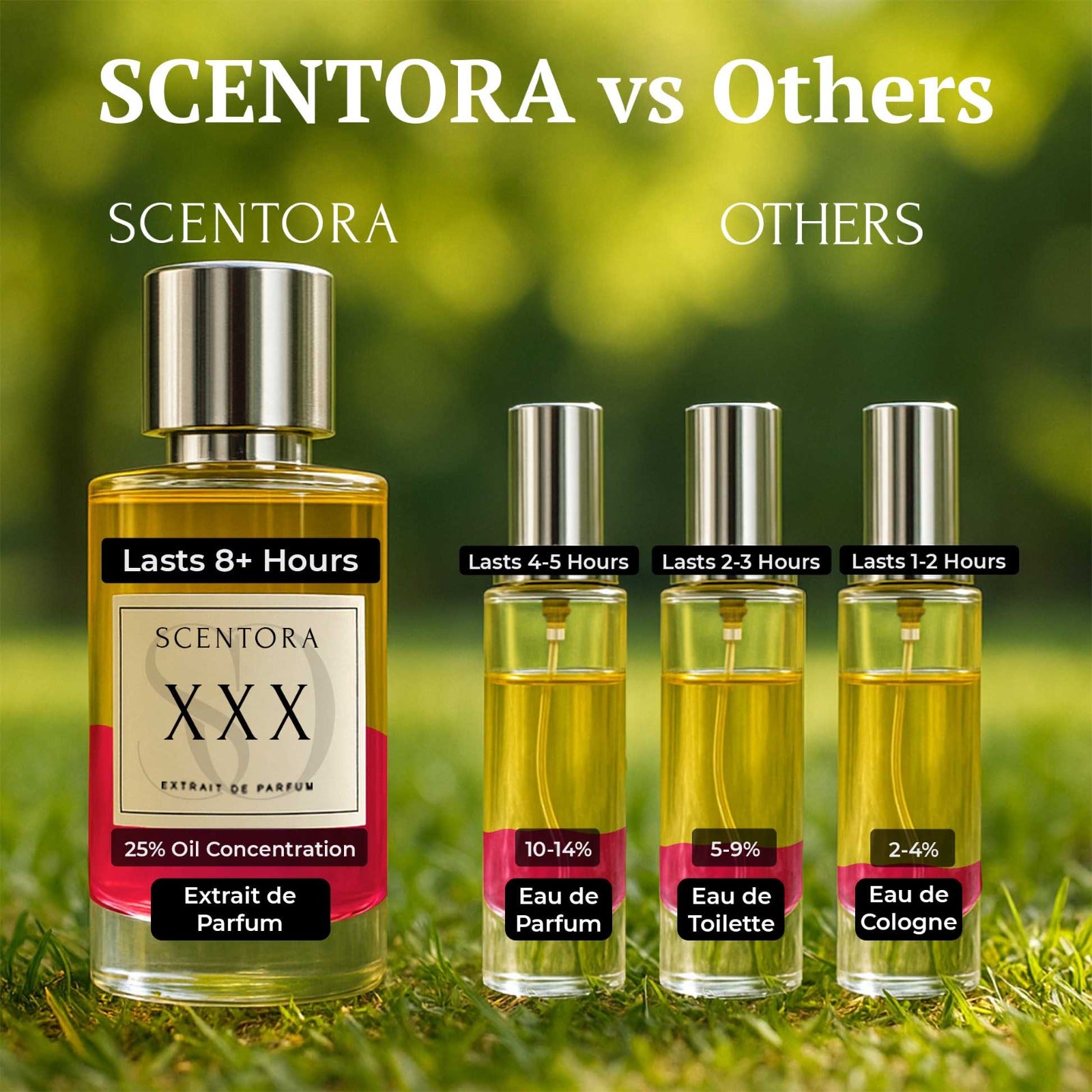 The Scentora Vault