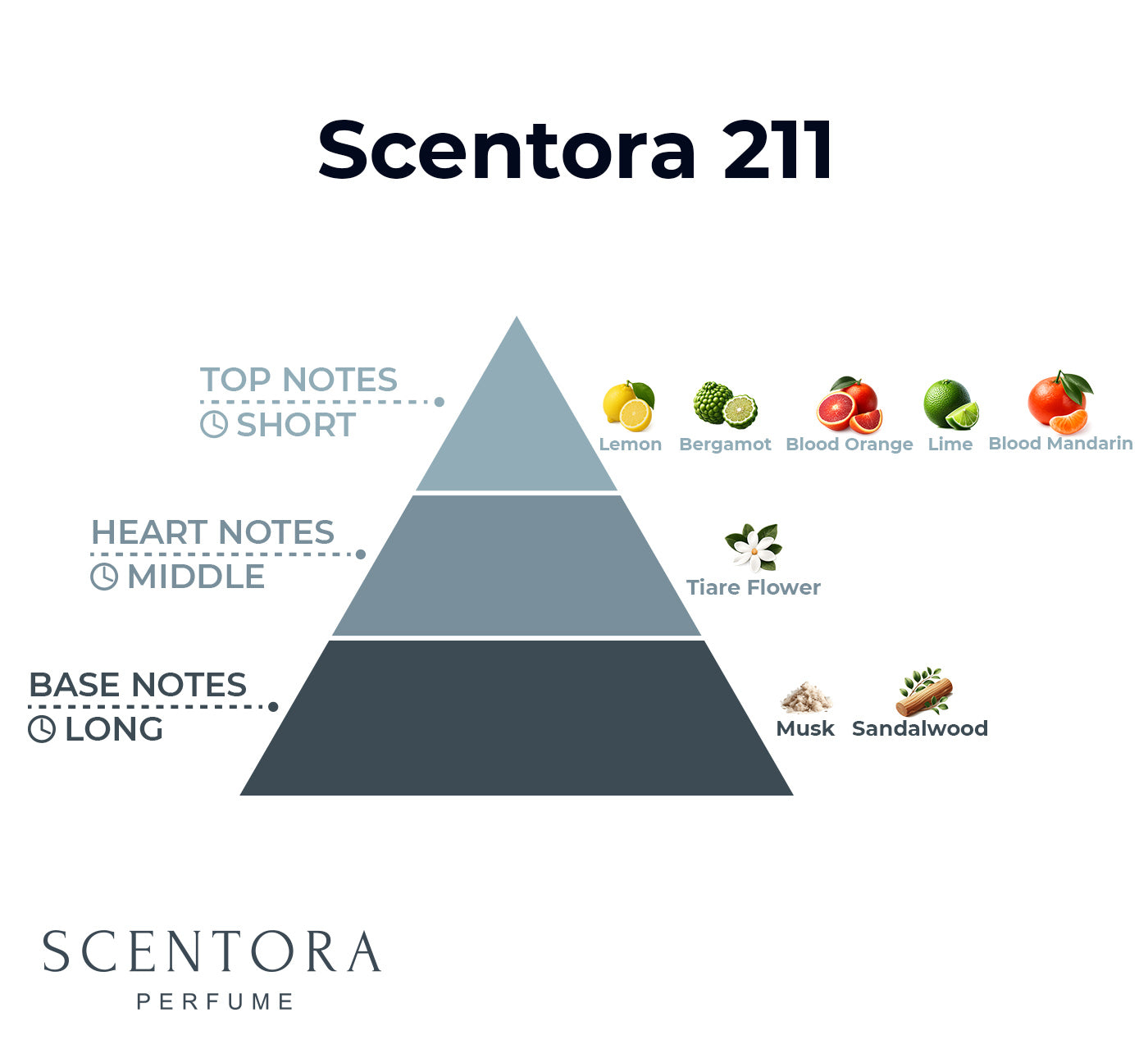 211 – Inspired by LV City of Stars