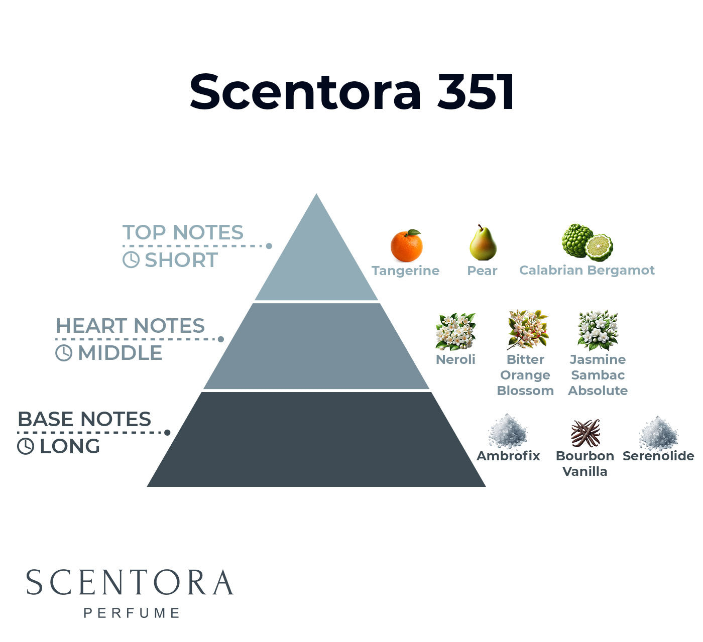 351 - inspired by paradoxe