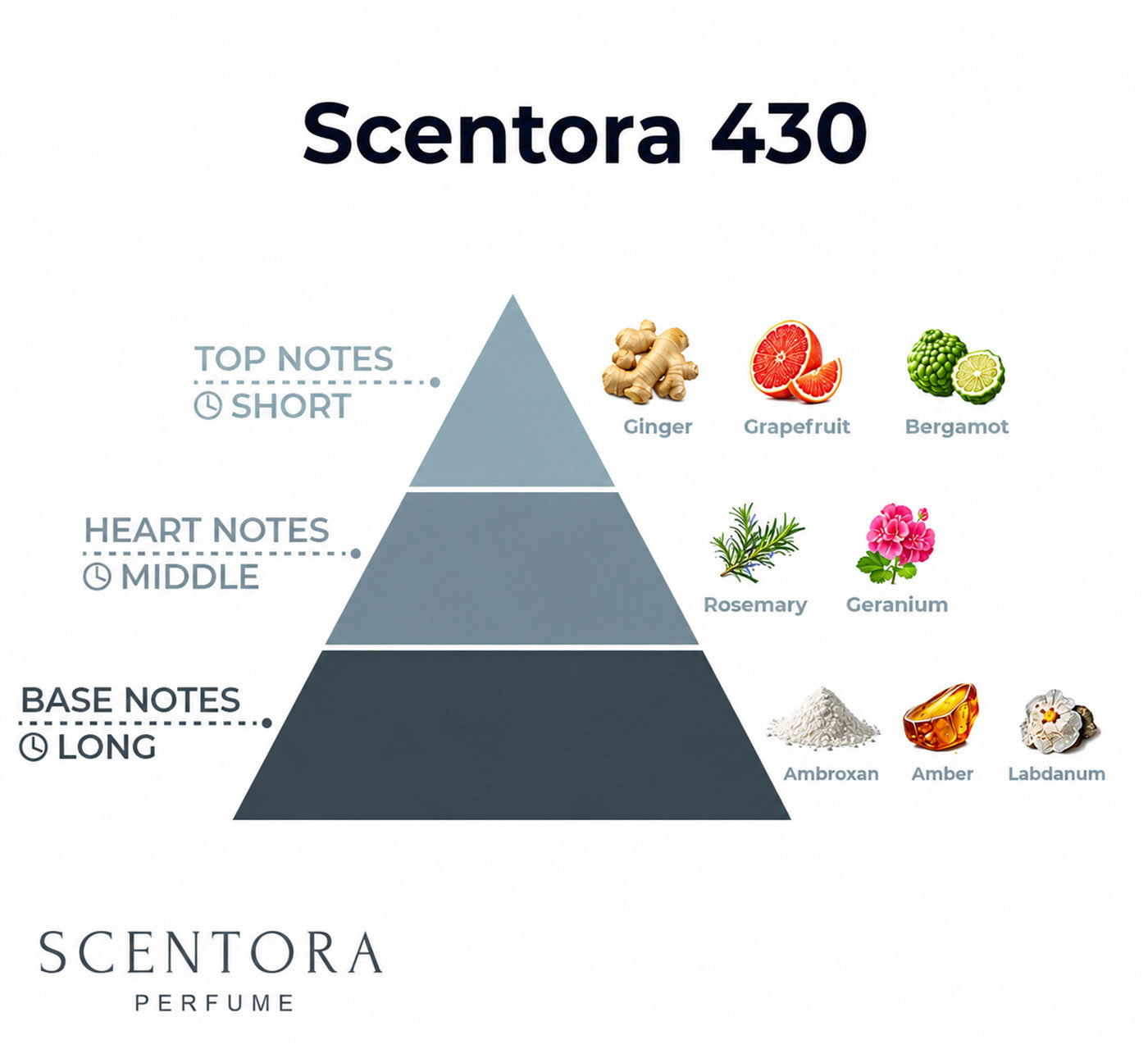 SCENTORA 430