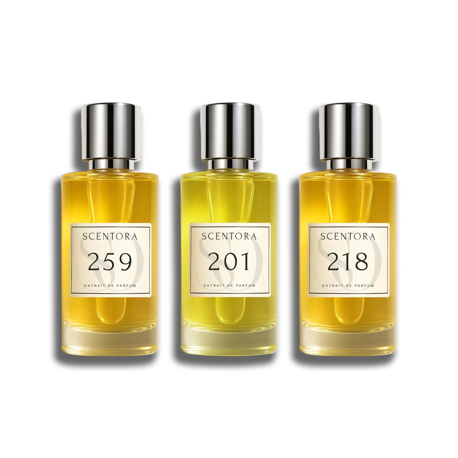 Winter Bundle - inspired by Tobacco Vanille, Oud Wood & Angel's Share